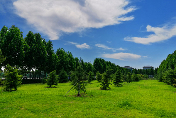 青青的草地 蓝蓝的天