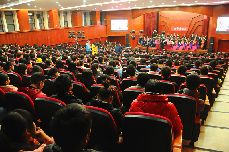 开云kaiyun官方网站新年音乐会