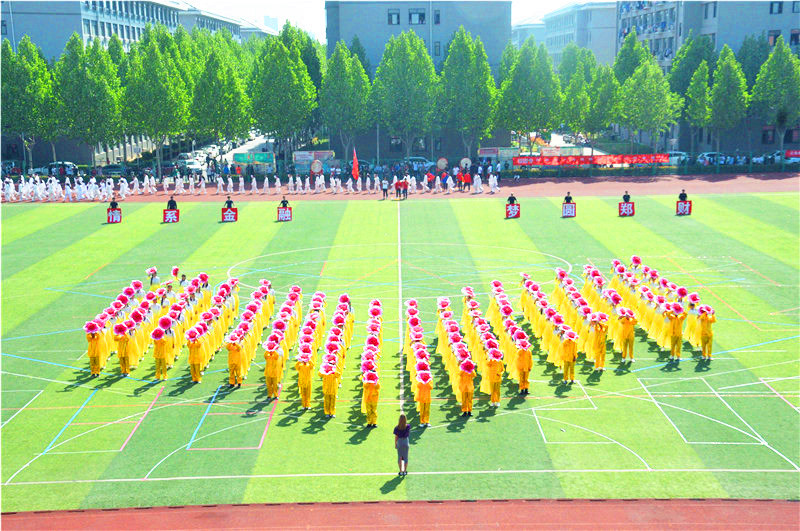 情系金融 筑梦郑财