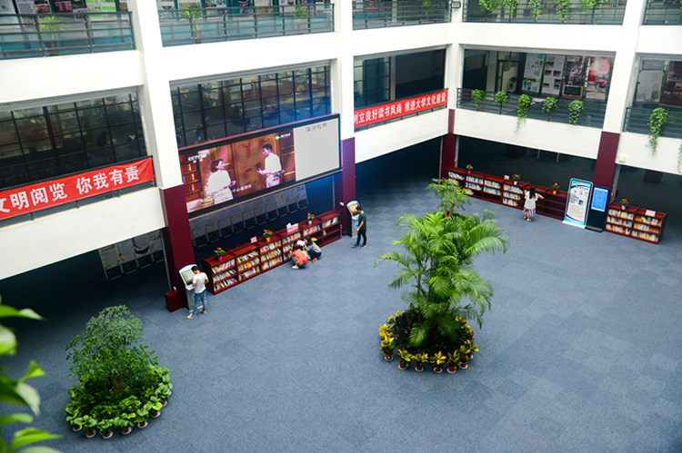 鸟瞰图书馆一角